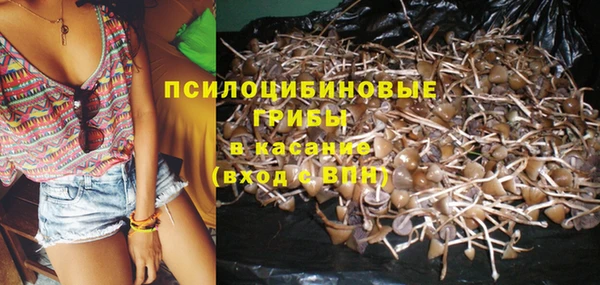 бошки Билибино