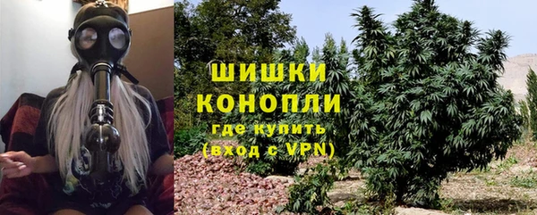 ПСИЛОЦИБИНОВЫЕ ГРИБЫ Дмитров