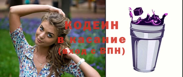 шишки Заводоуковск