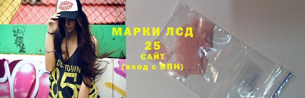бошки Билибино