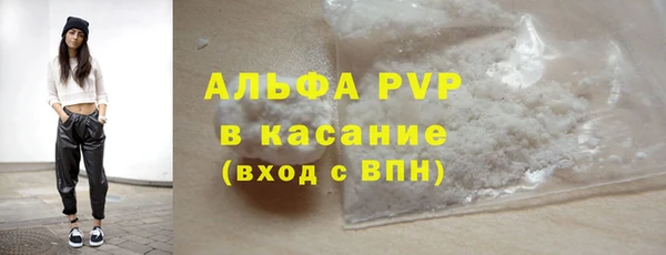 шишки Заводоуковск