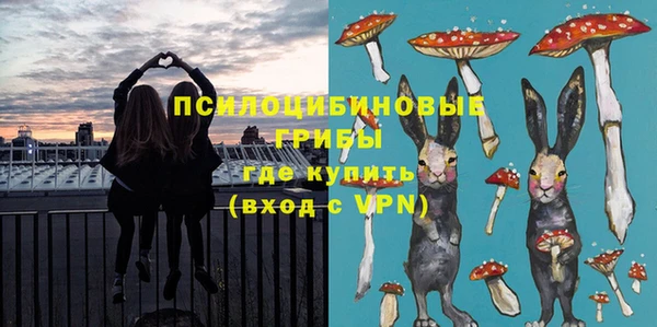 шишки Заводоуковск