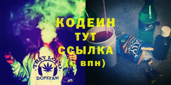 шишки Заводоуковск