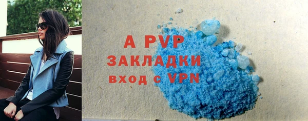 шишки Заводоуковск