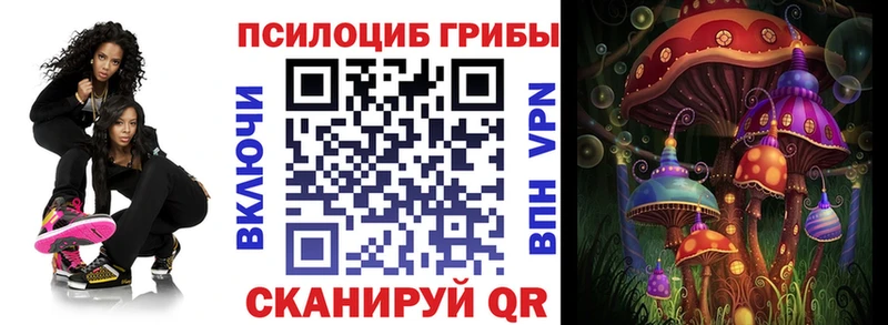 Галлюциногенные грибы MAGIC MUSHROOMS  гидра ССЫЛКА  Егорьевск 